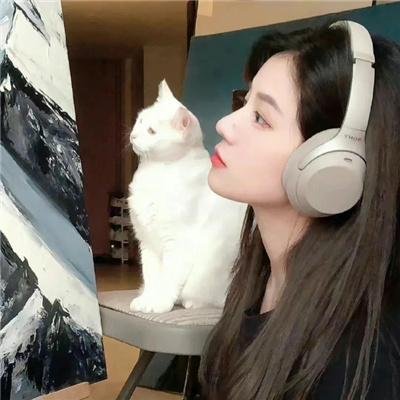 十二星座离奇事件